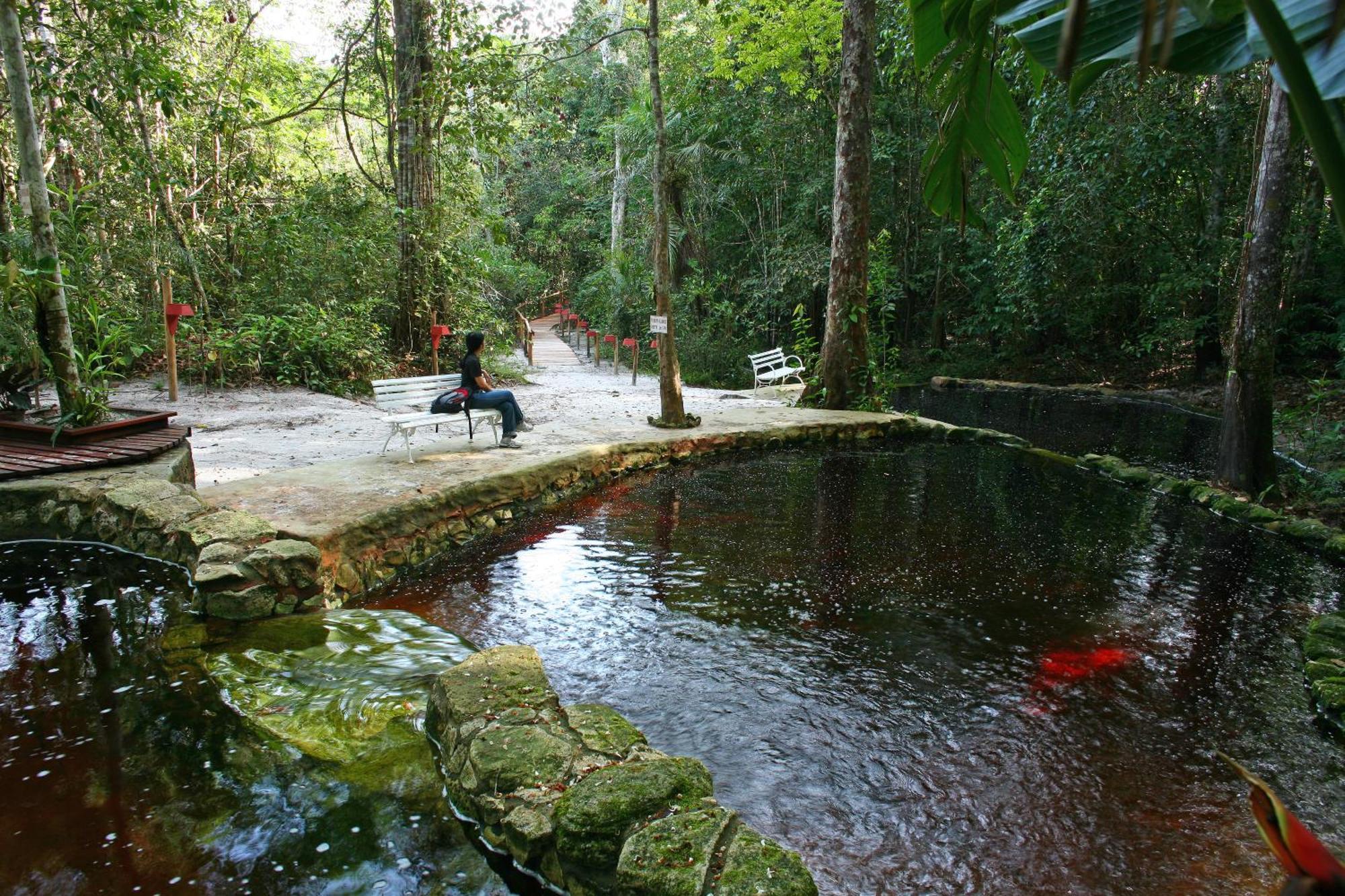 Amazon Ecopark Jungle Lodge Μανάους Εξωτερικό φωτογραφία