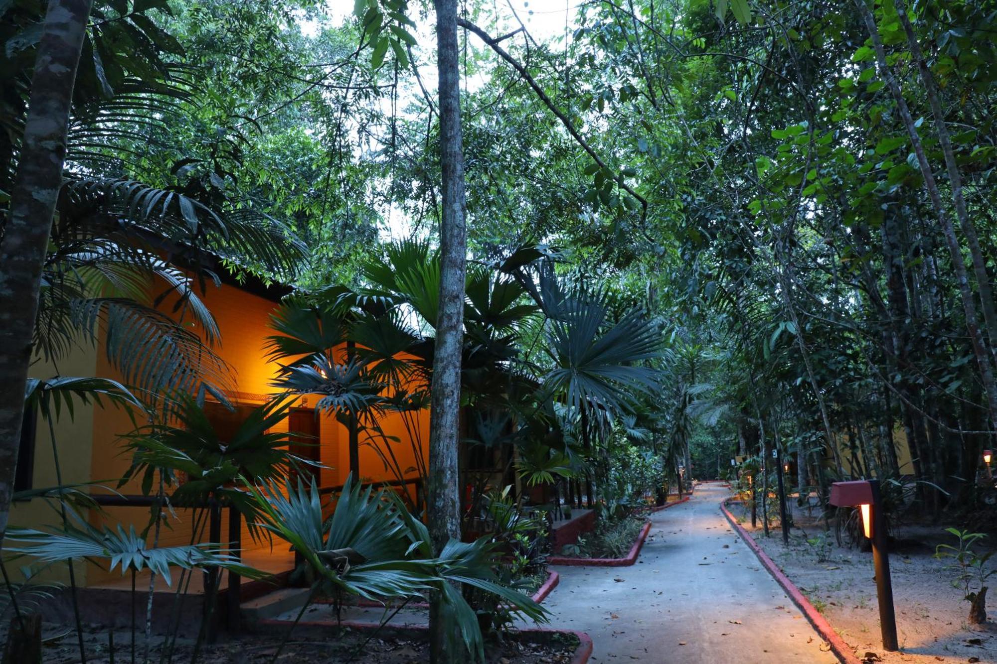 Amazon Ecopark Jungle Lodge Μανάους Εξωτερικό φωτογραφία