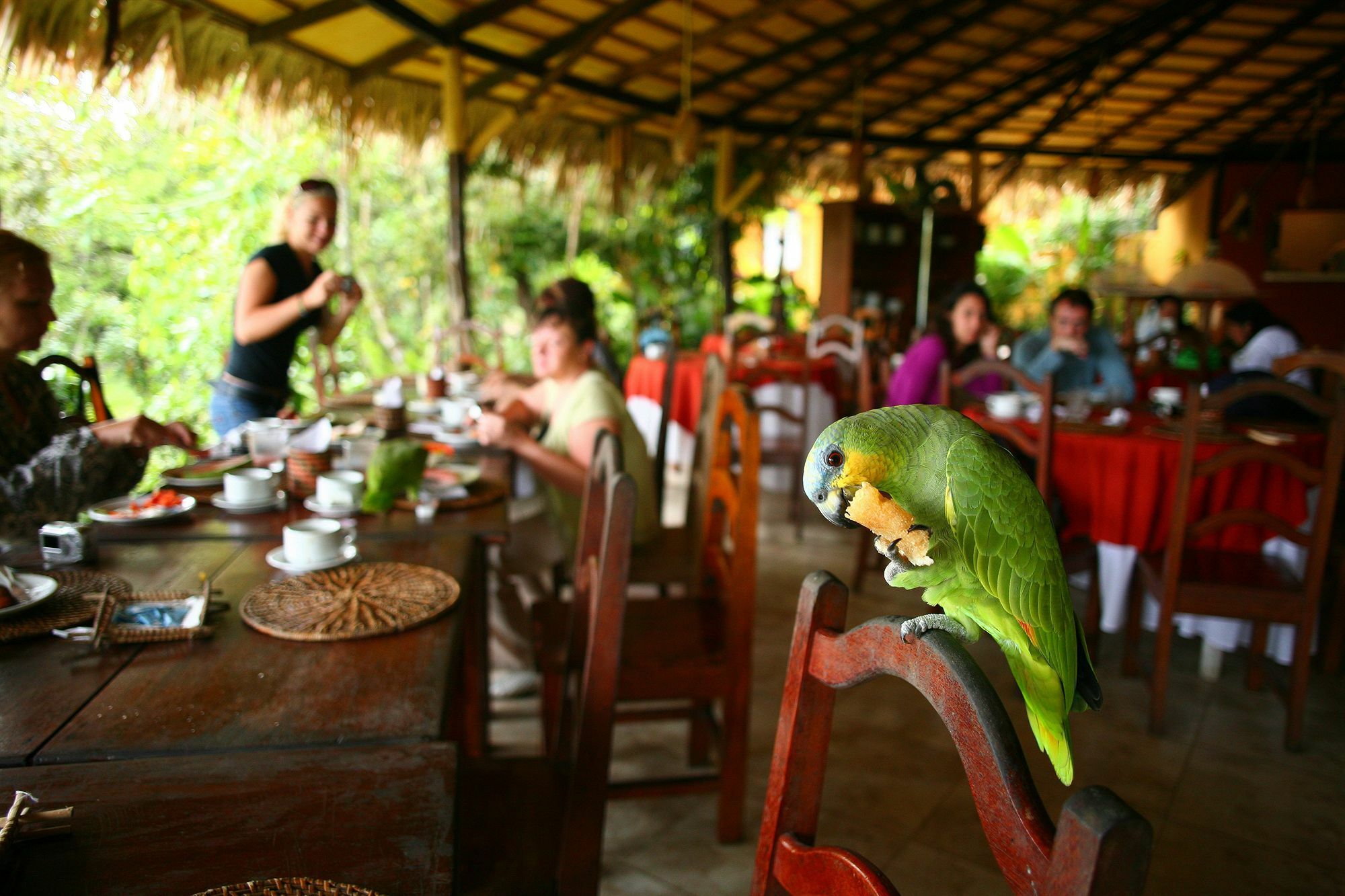 Amazon Ecopark Jungle Lodge Μανάους Εξωτερικό φωτογραφία